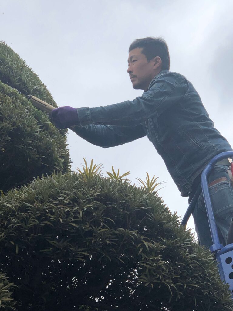 大阪•奈良で植木屋なら真興園